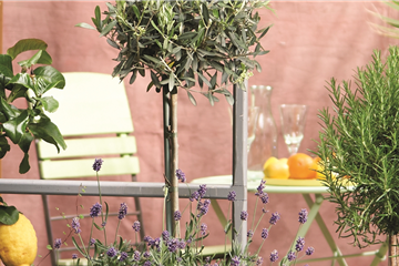 MEDITERRANER FLAIR! 