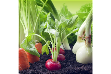 GUTE NACHBARN! GUTE NACHBARN!