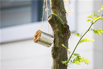 WIE GEHT... INSEKTENHOTEL? WIE GEHT... INSEKTENHOTEL?