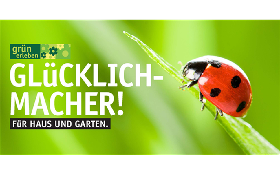 Immer eine gute Idee - Gutscheine verschenken!