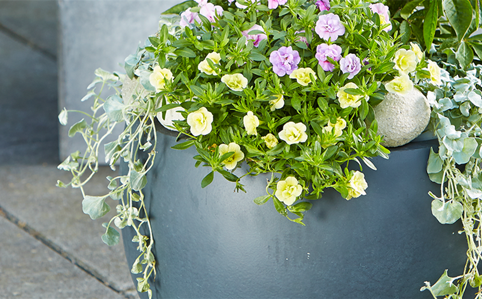 Aussen - Pflanzegefäße für den Garten! Aussen - Pflanzegefäße für den Garten!