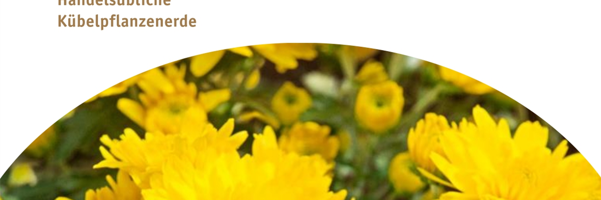BLüTEN FüR DEN HERBSTBALKON!
