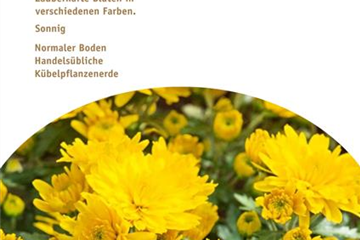 BLüTEN FüR DEN HERBSTBALKON!