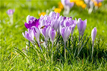 BUNTES OSTERFEST MIT FRüHLINGSBOTEN!