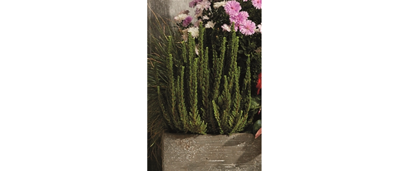 EIN KUNTERBUNTER HERBST! EIN KUNTERBUNTER HERBST!