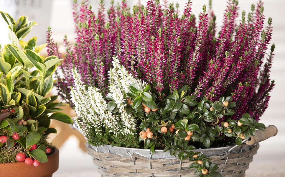 Hinweise zu Öffnungszeiten Hinweise zu Öffnungszeiten