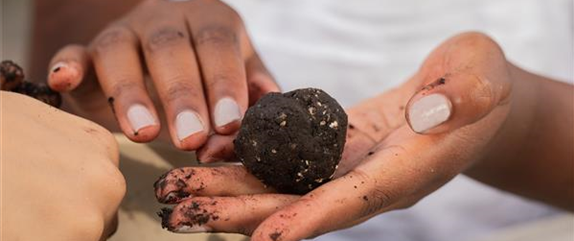 SAMENBOMBEN - BLüHENDE üBERRASCHUNG IM GARTEN