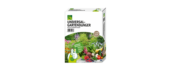 PFLANZE DES MONATS NOVEMBER: EUKALYPTUS