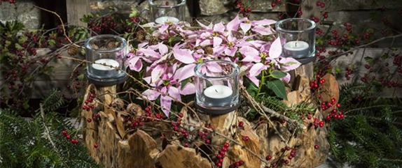 ADVENT - MIT SCHöNEN IDEEN DURCH DIE VORWEIHNACHTSZEIT ADVENT - MIT SCHöNEN IDEEN DURCH DIE VORWEIHNACHTSZEIT