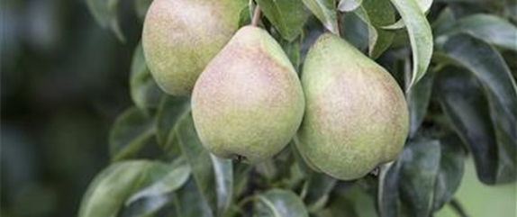 OKTOBER - JETZT GIBT ES NOCH MAL VIEL ZU TUN! OKTOBER - JETZT GIBT ES NOCH MAL VIEL ZU TUN!