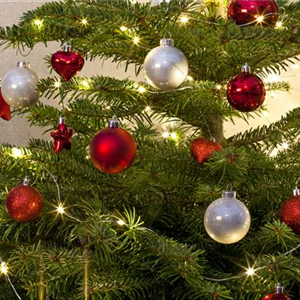 WEIHNACHTS-LICHTER-GÄRTEN WEIHNACHTS-LICHTER-GÄRTEN